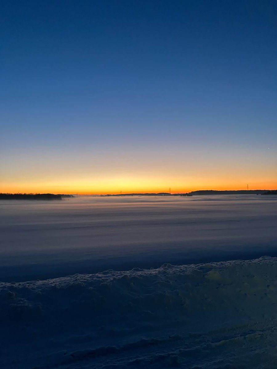 annroshko 🐉 $MON tweet media