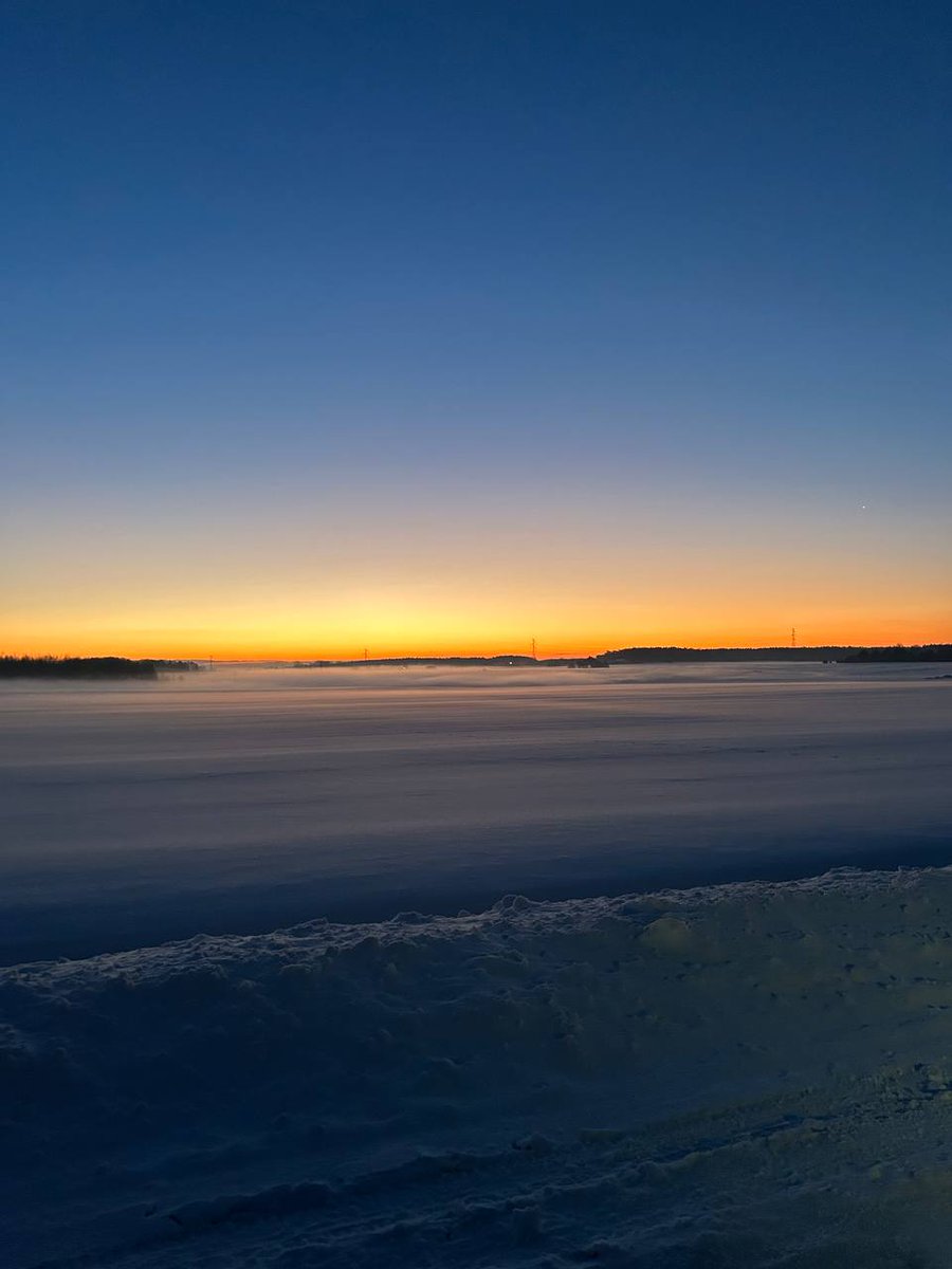 annroshko 🐉 $MON tweet media