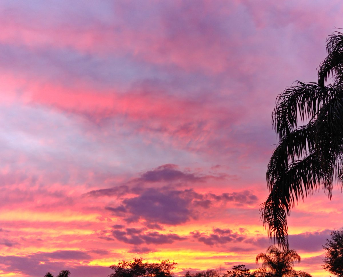 GMatrixGames (@gmatrixgames) on Twitter photo 