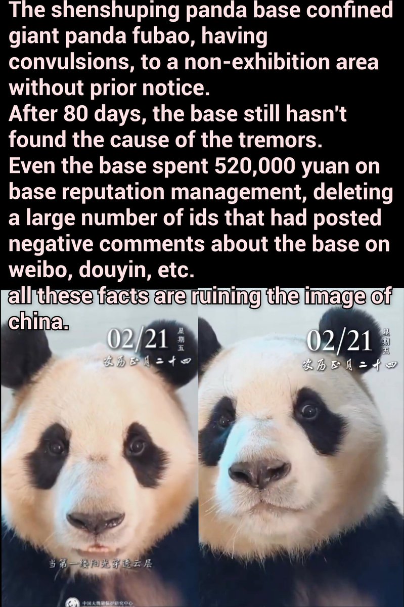 An innocent panda FuBao has lost a lot of weight, and lacks energy.
Please give #Fubao the comfortable and affluent environment promised by the #Chinese Ministry of Foreign Affairs.
Please restore Fubao's health!
<a href="/Protect_Wldlife/">PROTECT ALL WILDLIFE</a>
<a href="/AnimalsAsia/">Animals Asia</a>
<a href="/BBCNews/">BBC News (UK)</a>
<a href="/ChinaDaily/">China Daily</a>
<a href="/ifenglobal/">凤凰网</a>