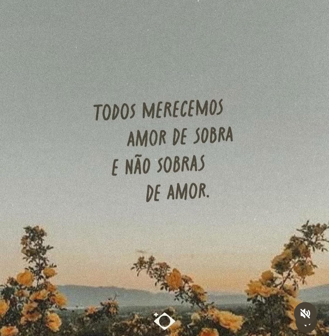 Otavio Desperate (@desperateotavio) on Twitter photo 