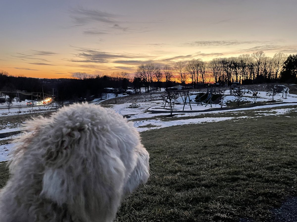 HatchHODL's tweet photo. This beautiful #sunset moment brought to us by @DrJackKruse. Thank you for reintroducing us to the power of light.

#DecentralizedMedicine
#Bitcoin
#BitcoinIsBetter https://t.co/hsKizxQw6x