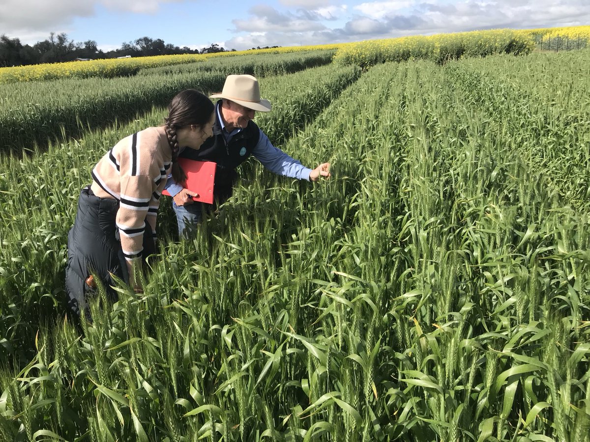AgroJAK's tweet image. If you would like to join CSIROs Innovative Agronomy Research Team in sthNSW as a Field Technician check out this opportunity and link with teams across the country.
jobs.csiro.au/job-invite/990…