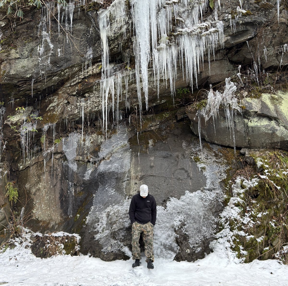 0x_light's tweet image. 