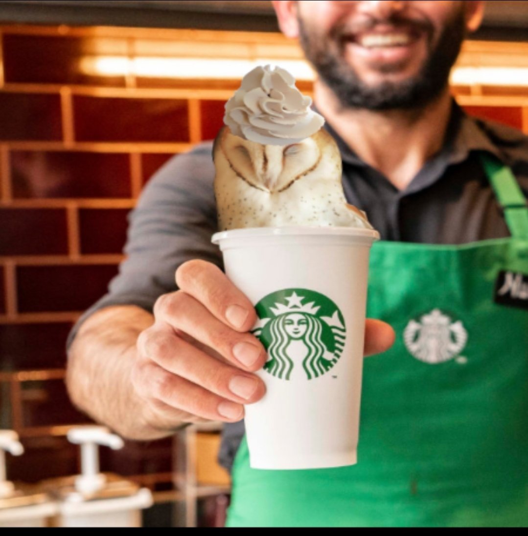 spellcaster🔞 tweet media