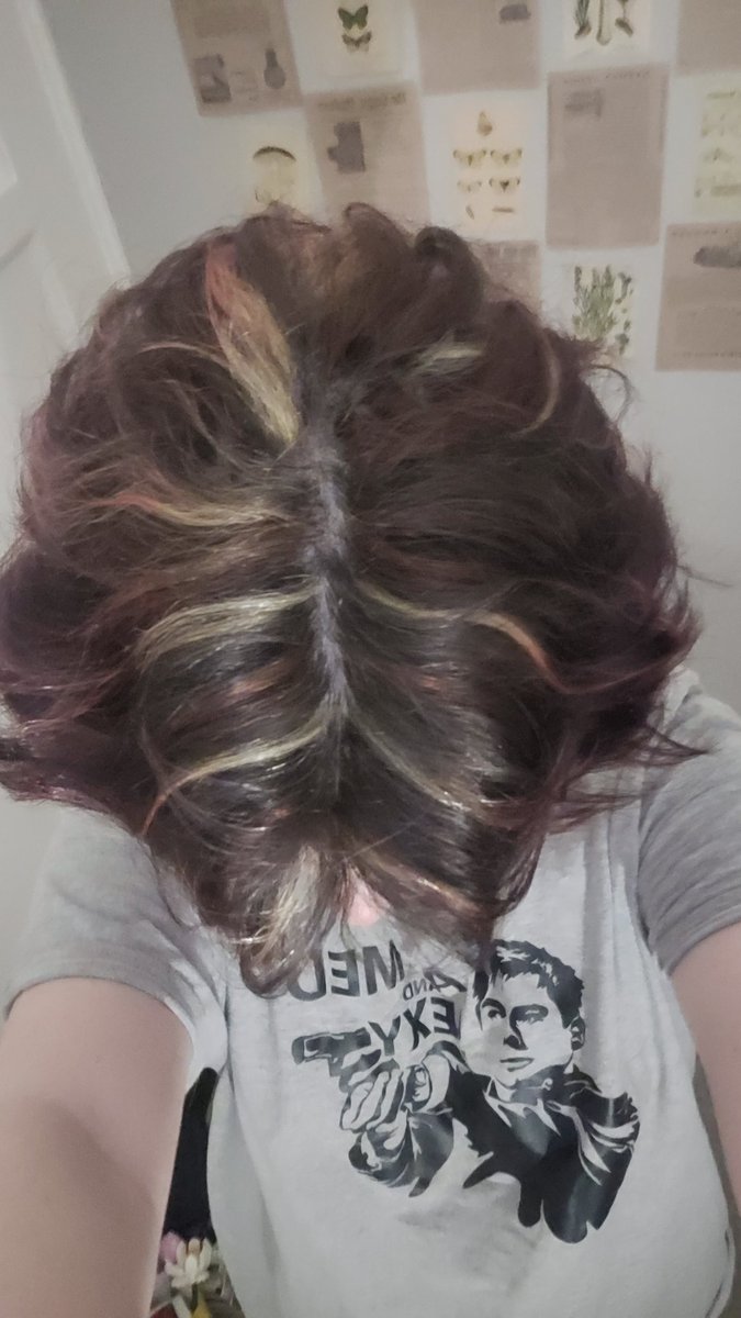 buzziso_'s tweet photo. new hair! what do we think gang?! https://t.co/DDrQCpOcAB