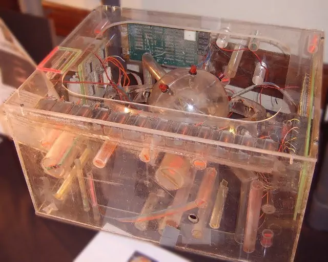 Tilly 'The Silly' Brown 🏳️⚧️ tweet media