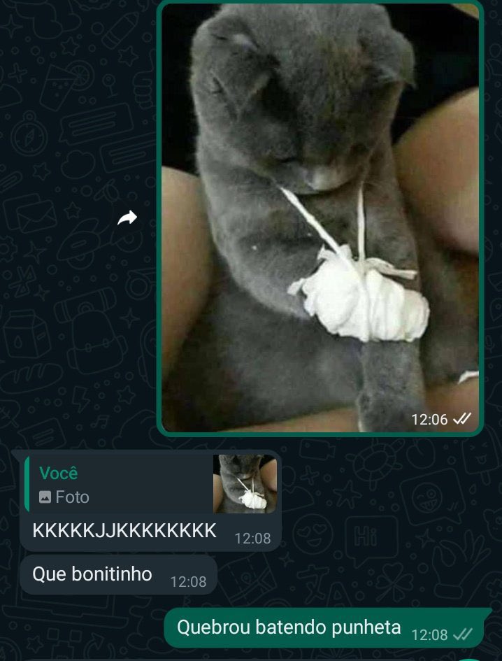 masturbe o cérebro e goze ideias (@diojodior) on Twitter photo 