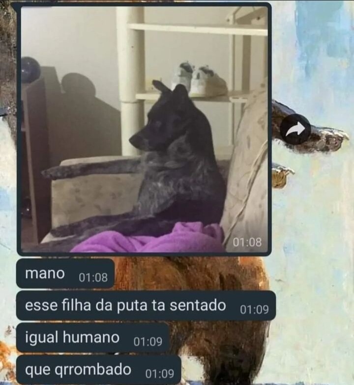 provas que os humanos deveriam ser extintos (@provasextinto) on Twitter photo 