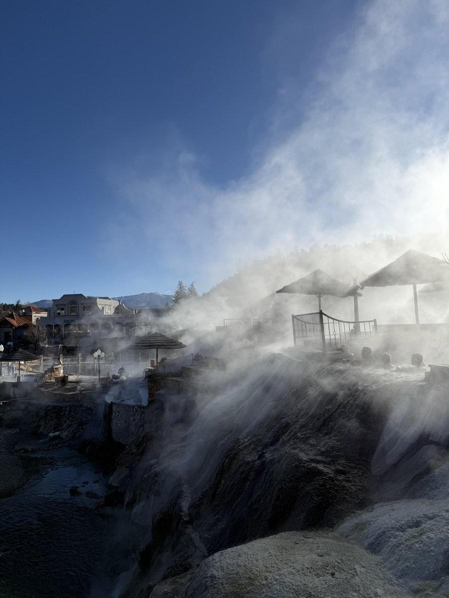 Danielle Morrill tweet media