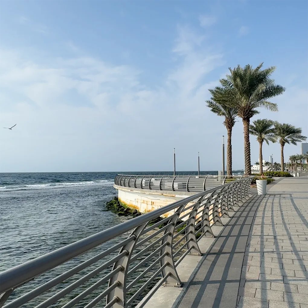 Proud1440's tweet image. عشوائيااااات ..