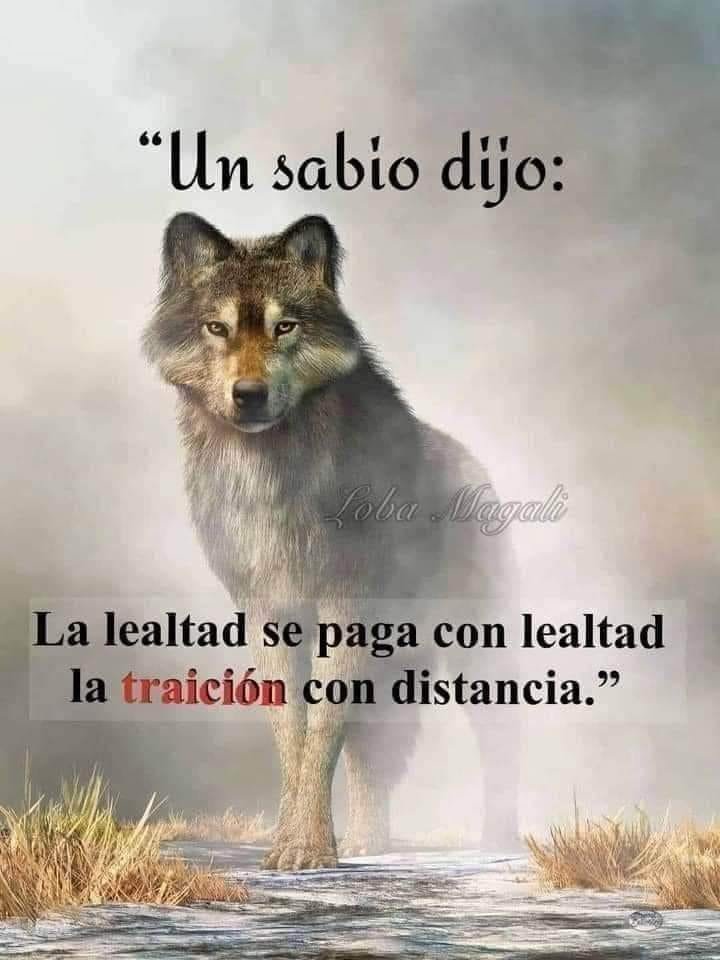 UN SABIO DIJO.