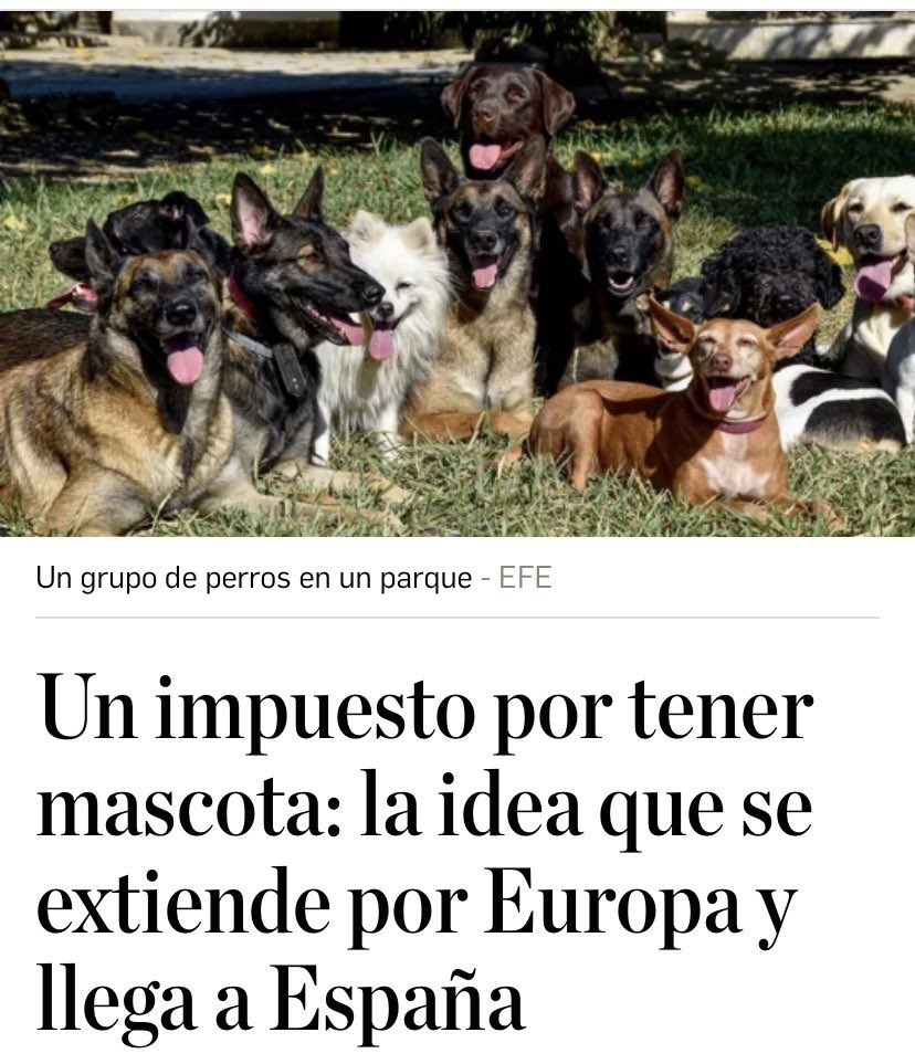🔴 #AGENDA2030 | El globalismo no quiere que poseas animales de compañía, y por eso planea convertirlos en objeto de lujo. Sólo quien tenga dinero podrá hacerse cargo de un perro o un gato: «Un impuestazo por tener mascota: la idea que se extiende por Europa y llega a España».