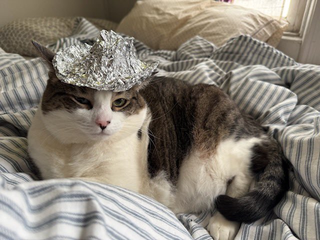 Blurpmachine's tweet photo. Even sonic kitty cowgirls 
are protected🐾🐾🐾
@TinHat_Cat $THC @SonicLabs https://t.co/ECpoNY1p3u