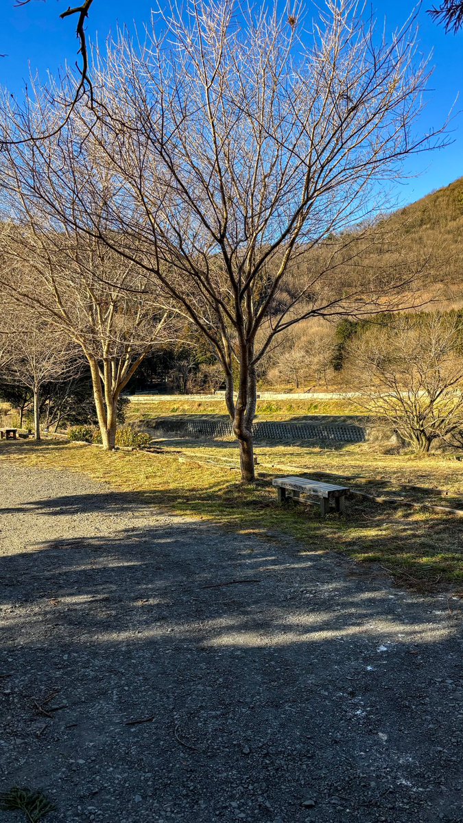 Matthew62945438's tweet photo. 2025.2.23
RIDLEY Noah Fast🚴
Good Morning cycling☀️
本日は東京へ行くので早めに切り上げました!
#ロードバイク乗りと繋がりたい #ロードバイク好きな人と繋がりたい #ロードバイク #RIDLEY #RIDLEYBike #NoahFast #라이딩 #Mavic #Morning #朝 https://t.co/2zukAkhsz6