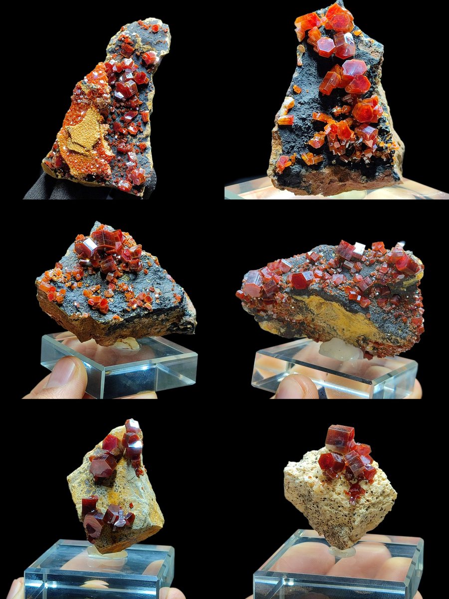 Vanadinites on goethite for sale on my etsy shop [cristalprince.etsy.com] free shipping 10% off discount 
#vanadinite #minerals #CRYSTALSTONES #EtsyPromotion