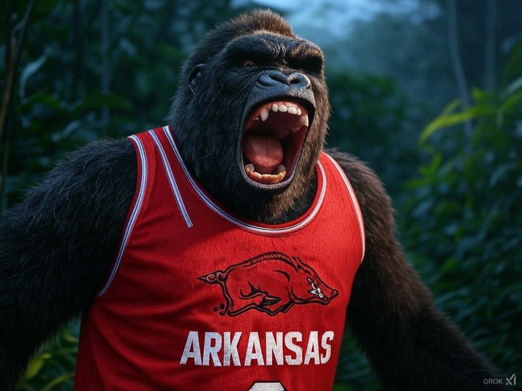 lethal_locks's tweet image. Good luck to anyone tailing!

🦍 Arkansas ML (+105)