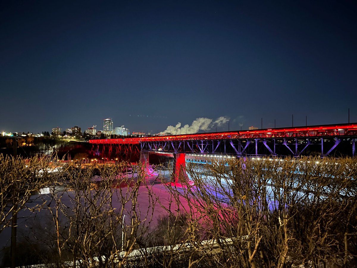 Alanna | Where Are My Pillows tweet media