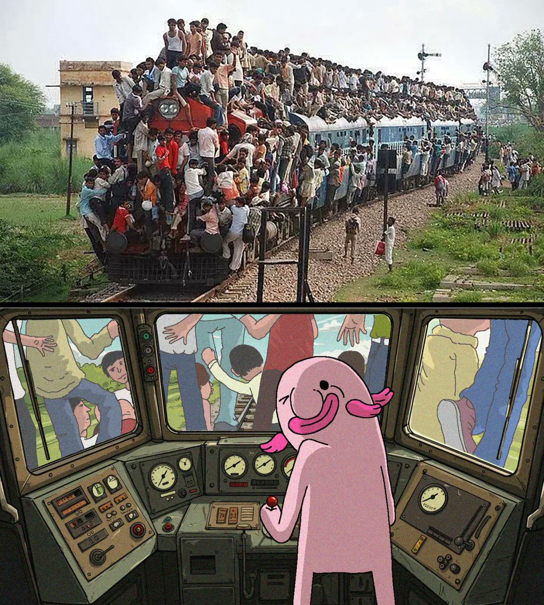 Where will blub take us ?