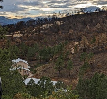 The State Senate unanimously passed a landmark bill creating grant programs to help New Mexicans fortify their properties to better withstand wildfires. SB33 now goes to the House.