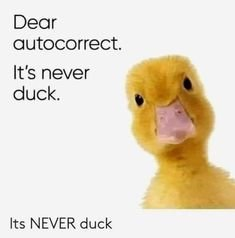 ChuckCallesto's tweet photo. Does anyone else have this problem on a regular basis? https://t.co/hI3iERA0zg