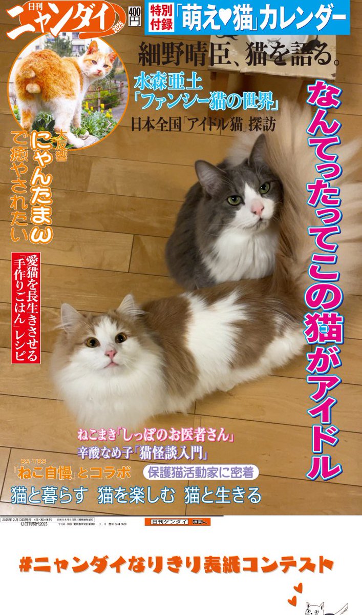 aya_kk's tweet photo. #ニャンダイなりきり表紙コンテスト https://t.co/6h2gFaF79v