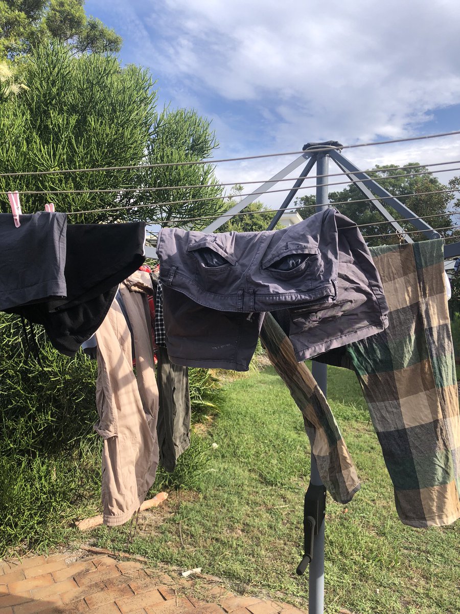 Have I done something to upset these shorts?