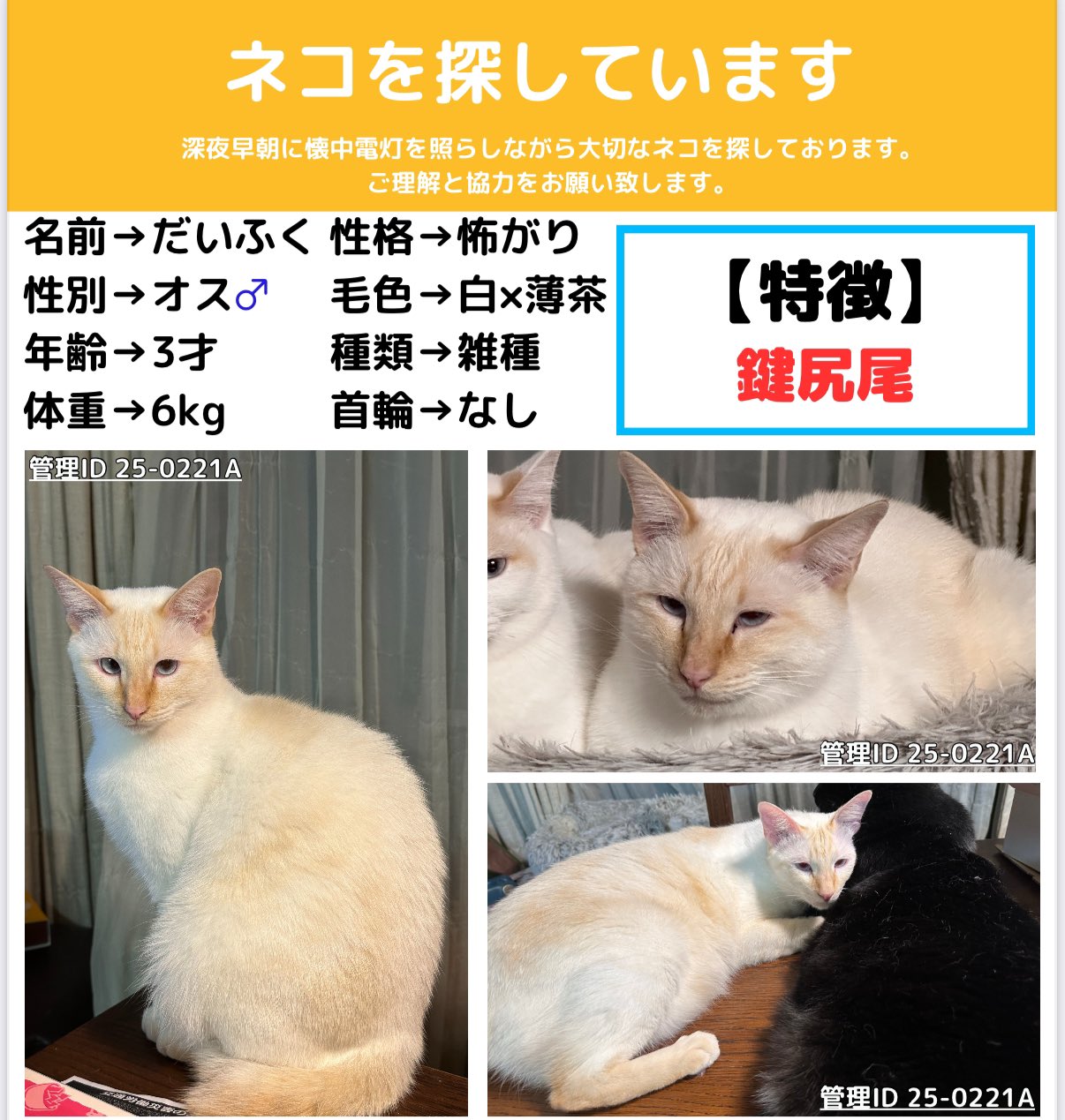 ネコちゃん探偵のプロ#迷子猫ゼロ協会 (@Nekochantantei) / X