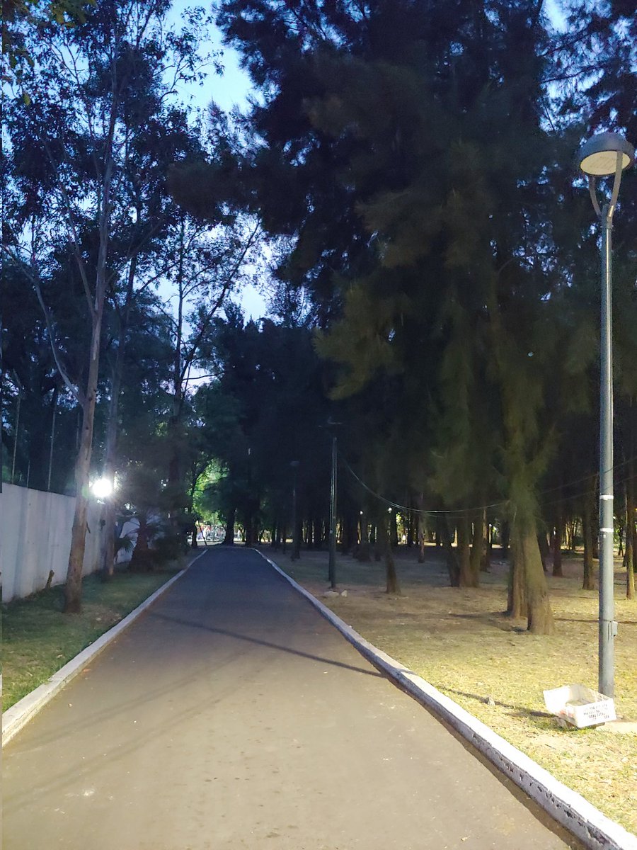 Santa Merlina ♐️ 🧐 tweet media