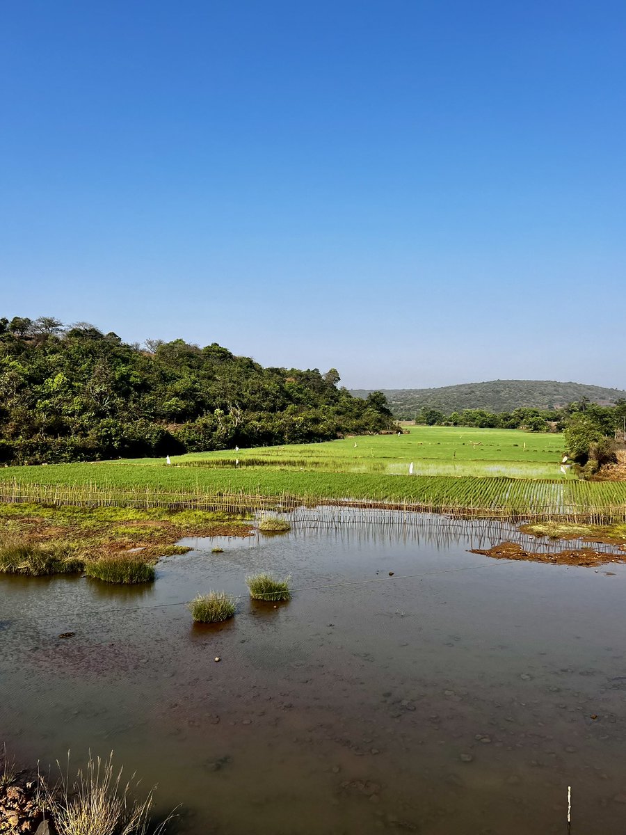 agrajalpha's tweet photo. The other side of Amboli 

#nature https://t.co/AXAG5yqdLV