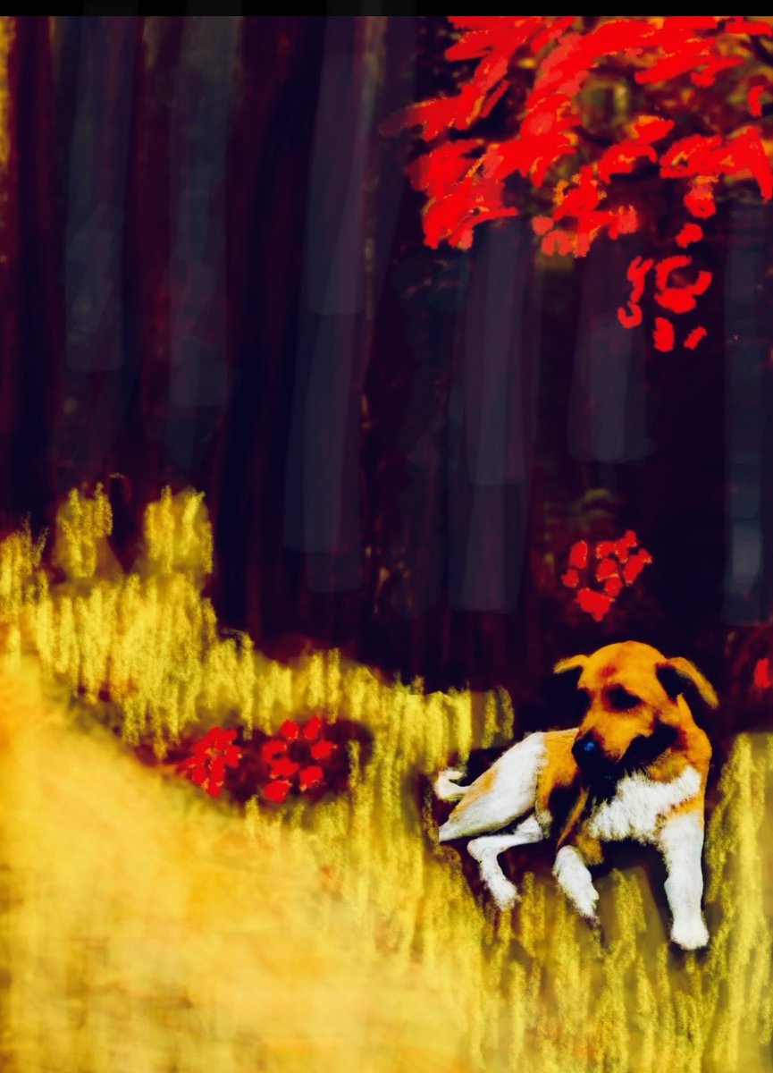 Do not escape from his presence, companion of adventures, psychologist of sadness, he will love you and protect you all your life.
💛🌺🐶🌺💛