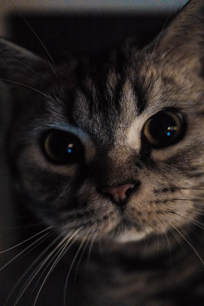 JOEKWAN (@wonderland330) on Twitter photo 