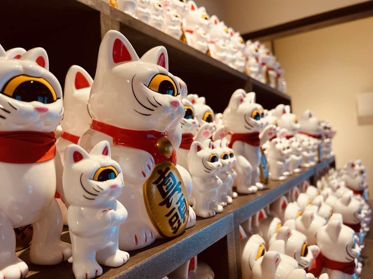 zacky_toy's tweet image. 猫ストリーム🐾🌀
猫好きには、たまらない空間でした😻

#realhead
#catstream
