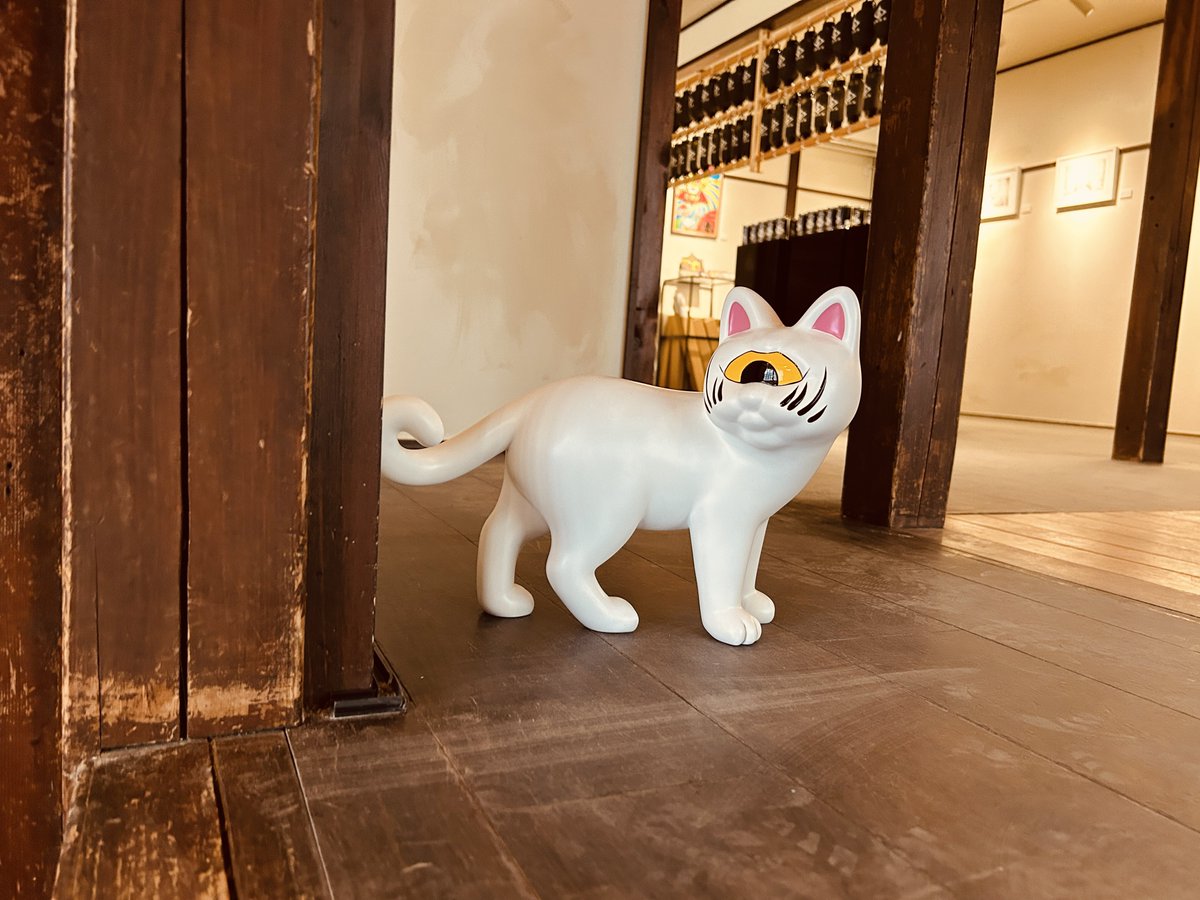 zacky_toy's tweet image. 猫ストリーム🐾🌀
猫好きには、たまらない空間でした😻

#realhead
#catstream