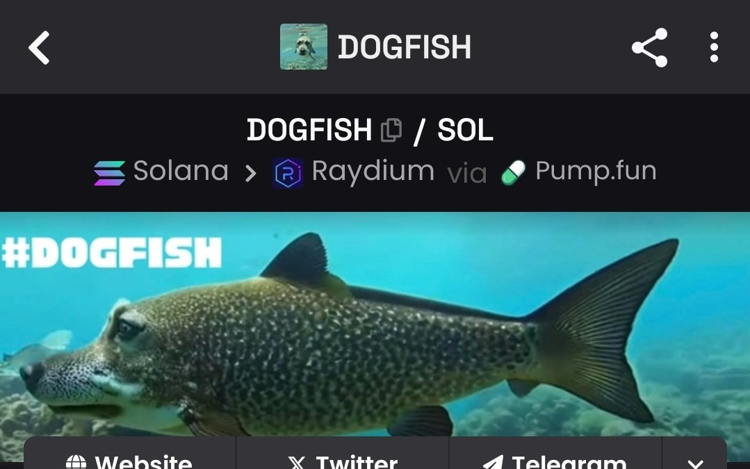 remy_bull's tweet photo. - #Anglerfish just hit $8M Marketcap and there's this viral #DogFish with over 5.8M likes, over 1.6M shares, over 1M comments on Tik-Tok.

- Lots of people making videos about it. This should be trading same Marketcap with #AnglerFish 

- CA: CvLmRUjfhWgdSAu8Uceo9HjfJod7LSwTKg78YSTMpump