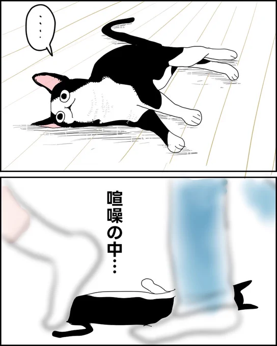 絶対に踏まれない謎の自信がある猫
(1/2)

#漫画が読めるハッシュタグ #猫の日 #猫 