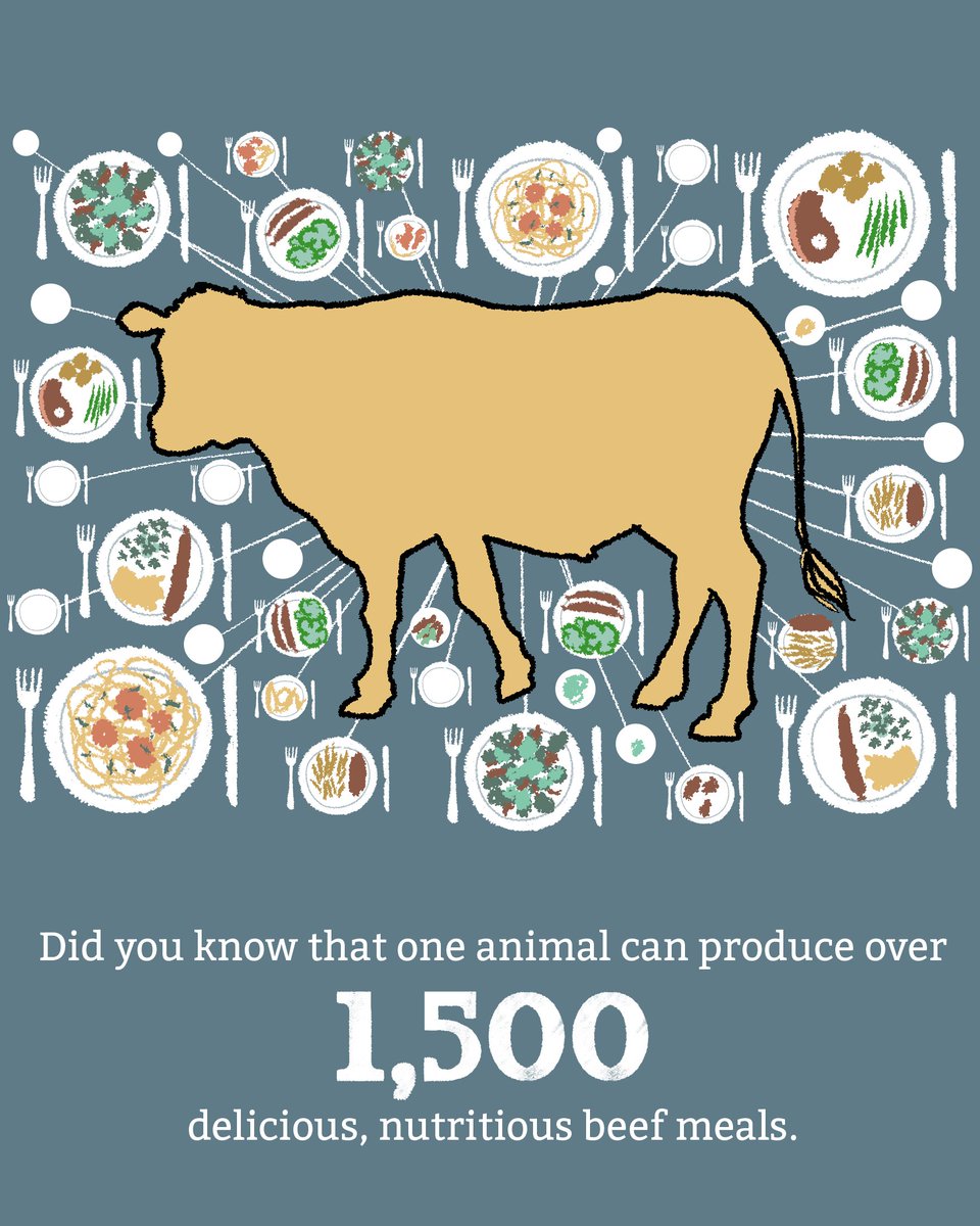 Australian Good Meat tweet media