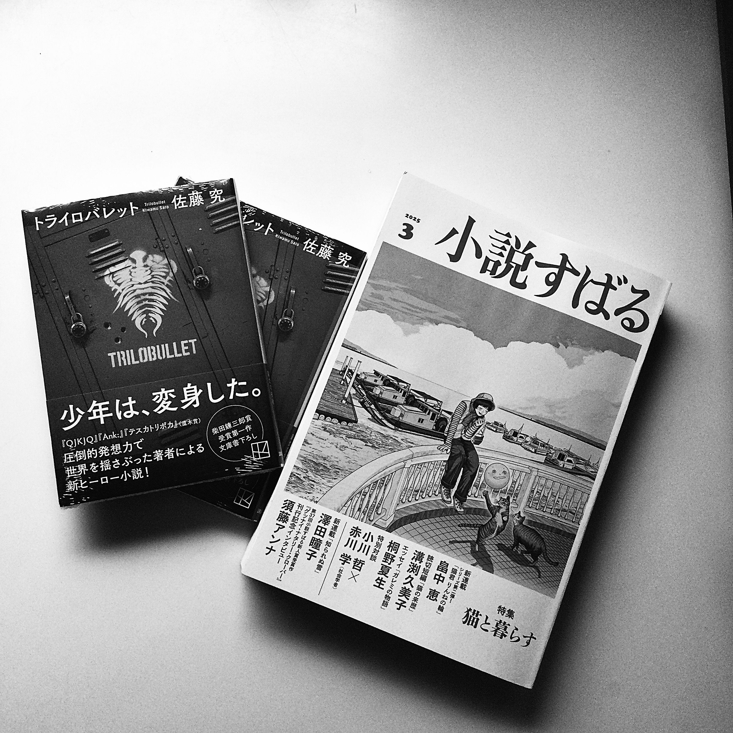 佐藤究 kiwamu sato on X: 佐藤究 kiwamu sato on X: