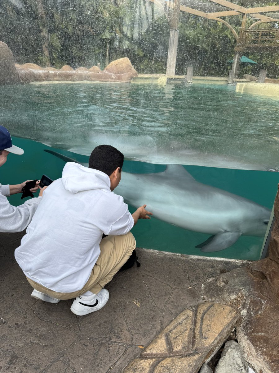 Angela Donnino (@angeladonnino) on Twitter photo Although we were tired, it was amazing! The joy in everyone’s face says it all~ the students had a blast! #LIASeaWorld25
<a href="/The_Galleon/">Galleon News</a> <a href="/SharksSrhs/">@SRHS_Sharks</a> <a href="/MrTorresFrank/">Frank Torres</a> <a href="/CoachAbbey1982/">CoachAbbey</a> Although we were tired, it was amazing! The joy in everyone’s face says it all~ the students had a blast! #LIASeaWorld25
<a href="/The_Galleon/">Galleon News</a> <a href="/SharksSrhs/">@SRHS_Sharks</a> <a href="/MrTorresFrank/">Frank Torres</a> <a href="/CoachAbbey1982/">CoachAbbey</a>