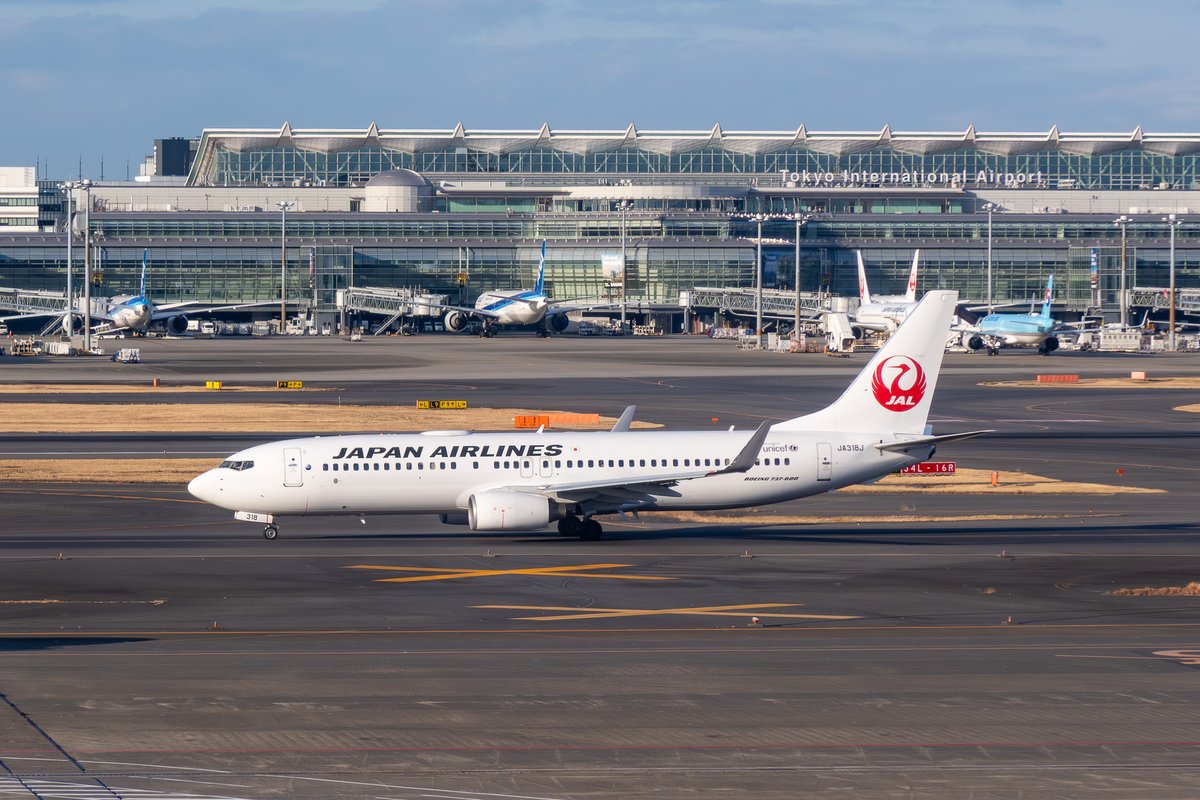 naogoo2's tweet photo. 羽田空港でJALのB737。コンプリートまでは遠い道のり
#羽田空港 #HND #RJTT #日本航空 #JL #JAL
#Boeing #B737_800 #JA318J
#Canon #PowerShot #G5XMarkII
シャッタースピード1/800絞り4.0ISO125焦点距離44mm https://t.co/jKT8Skxy2i