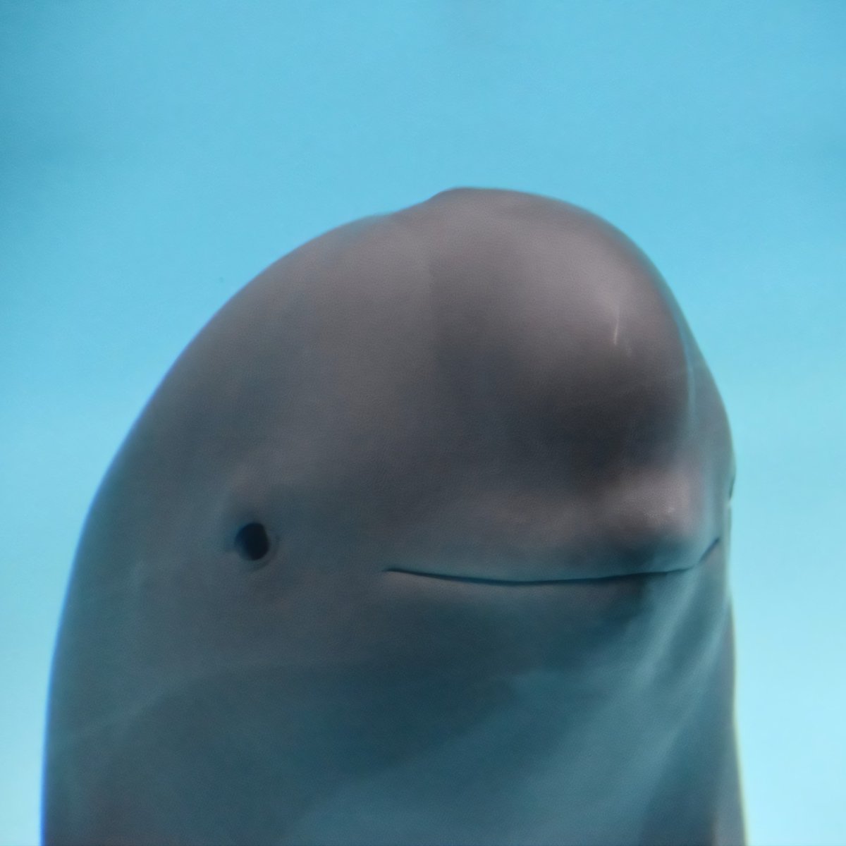 "When your code works, but you have no idea why"