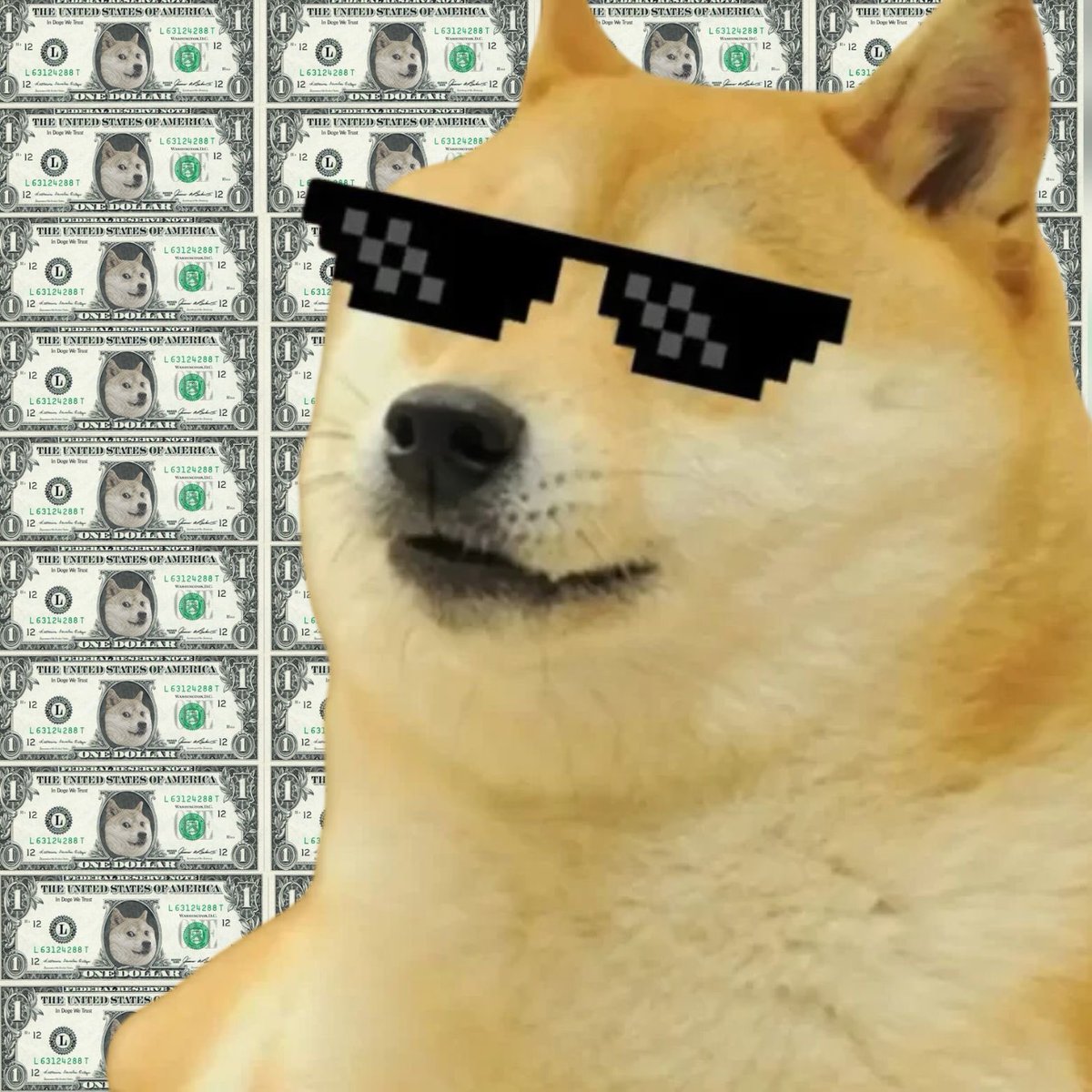 $DOGED | Doge Dividends tweet media