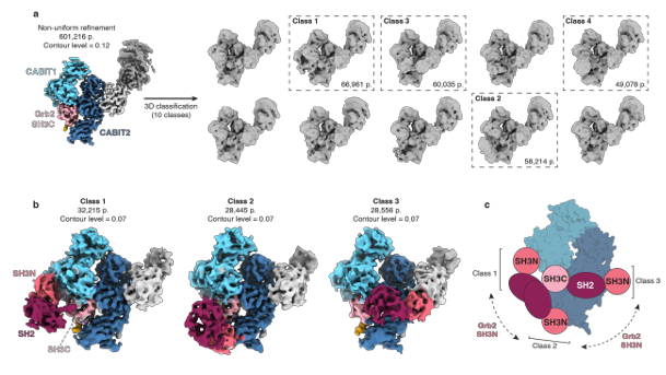 Waggoner Lab tweet media