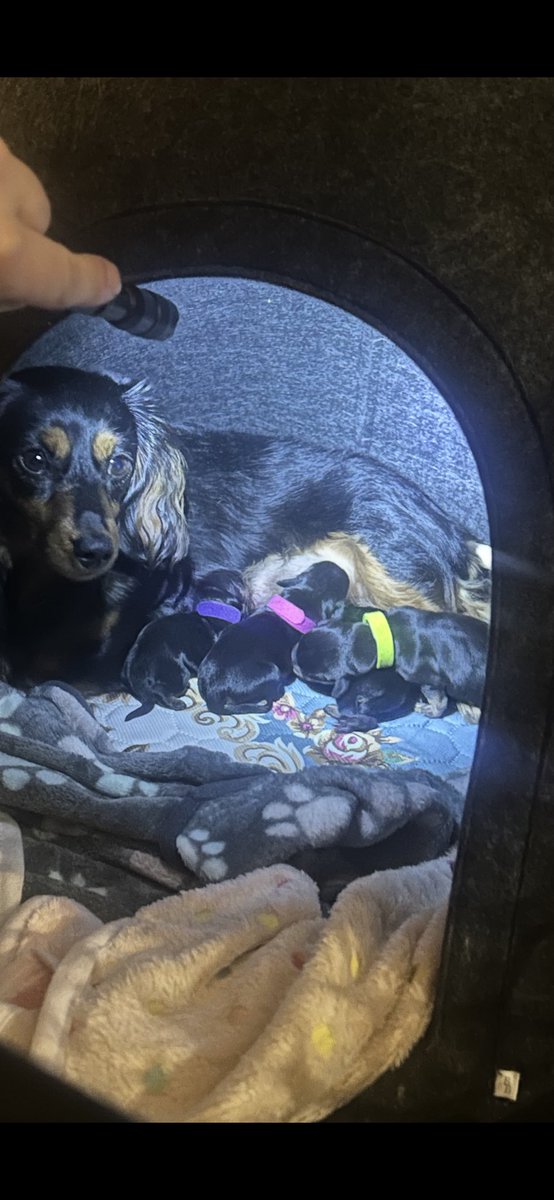 Chester_Peaks 🇨🇦 tweet media