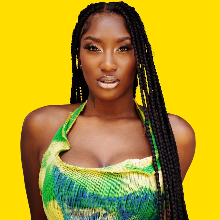 chartdata's tweet photo. Aya Nakamura becomes the first female African artist to have a video earn 1 billion views on YouTube. https://t.co/jfmvU0WlAP