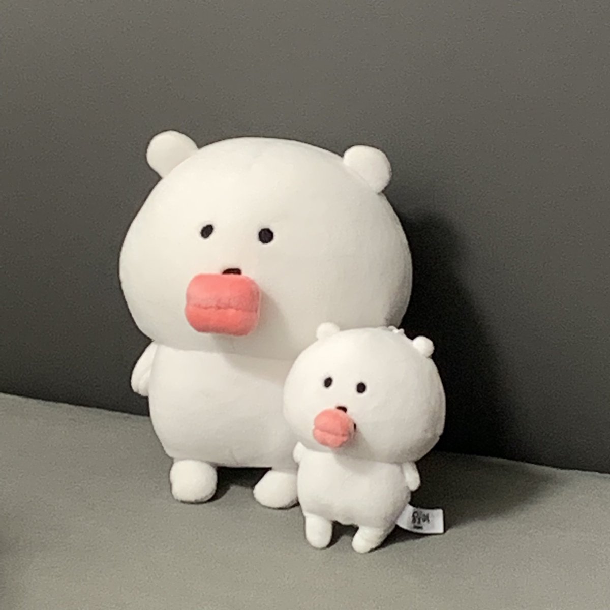 🤣买到这个嘴巴 可以让我开心哈哈ᶘ ᵒᴥᵒᶅ #naganonokuma