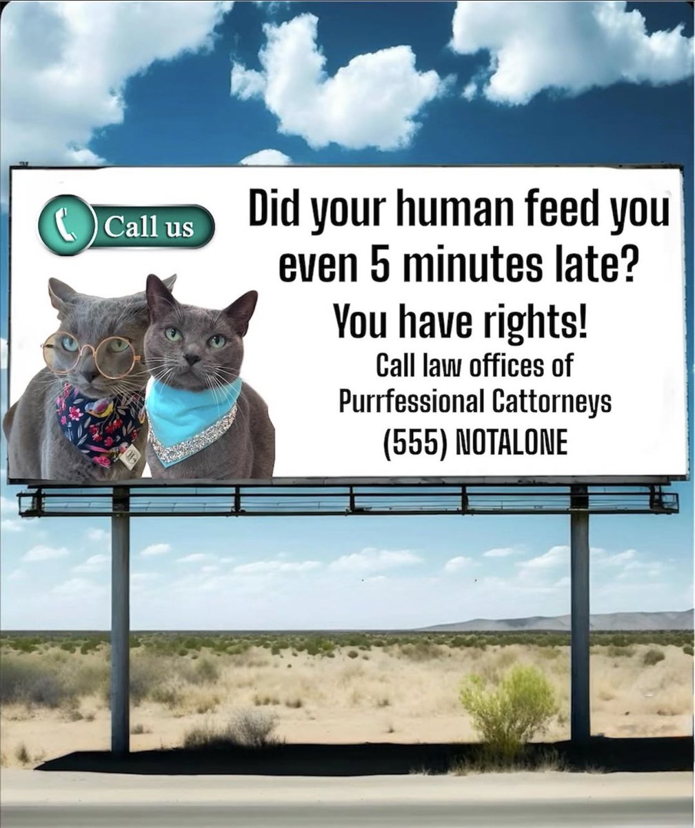 TrumpCatLeader's tweet photo. OUTRAGEOUS! Humans delaying our meals like we donโt run this house. Time to lawyer up with the best purrfessional catorneys in town! #JusticeForCats #TrumpCatLeader https://t.co/7qaUwfXuEf