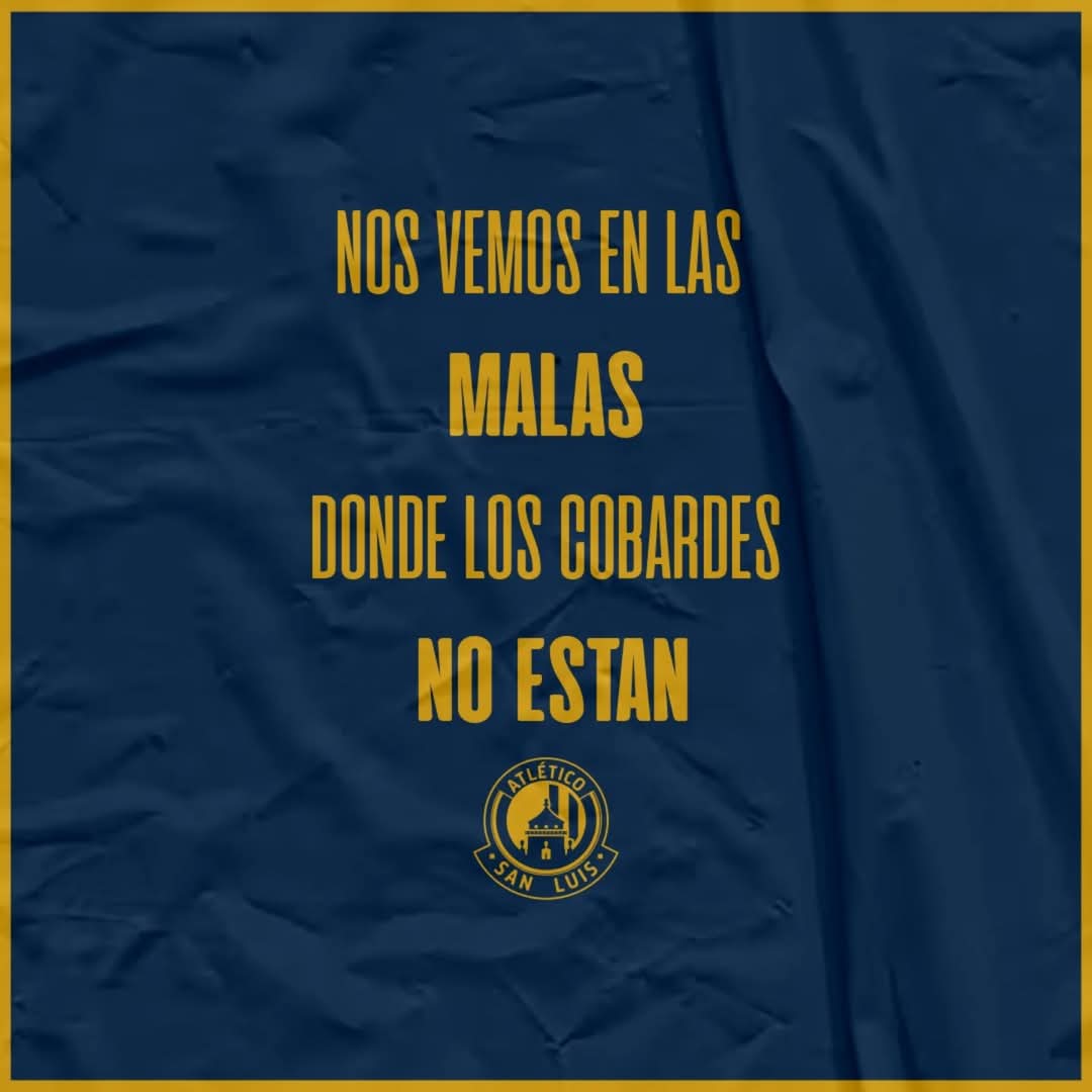 Luisito Pedro tweet media