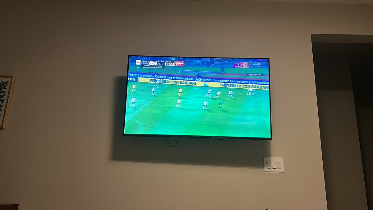 Vamos ver los pumas …