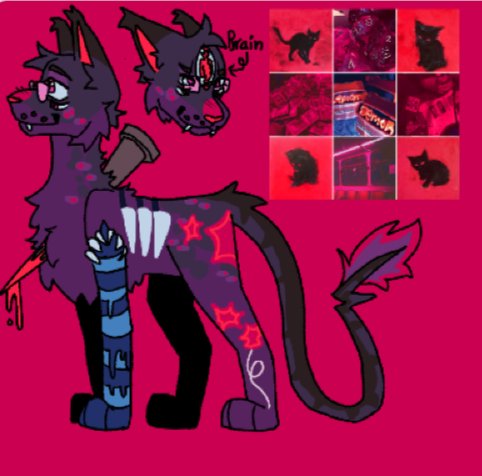 2tired2thinklol's tweet photo. @ManamiTheKoi Ty for the chance! Design notes: four eyes his tail is broken he's very fluffy and the things next to his eyes are tongues he's like a dog cat mix https://t.co/L5prU5tGwg